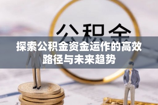 夏河探索公积金资金运作的高效路径与未来趋势