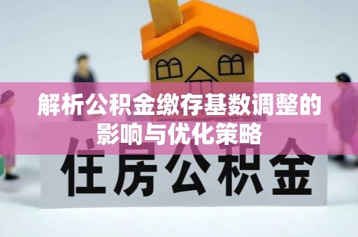 夏河解析公积金缴存基数调整的影响与优化策略