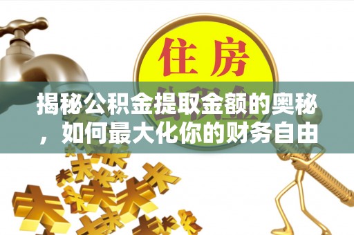 夏河揭秘公积金提取金额的奥秘，如何最大化你的财务自由
