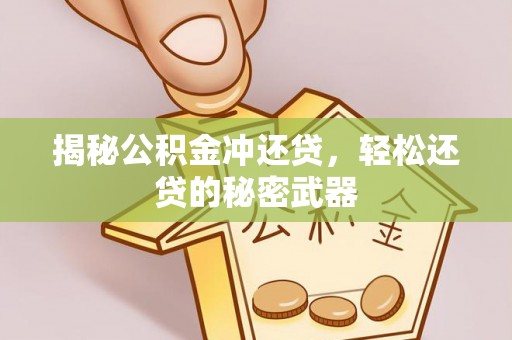 夏河揭秘公积金冲还贷，轻松还贷的秘密武器