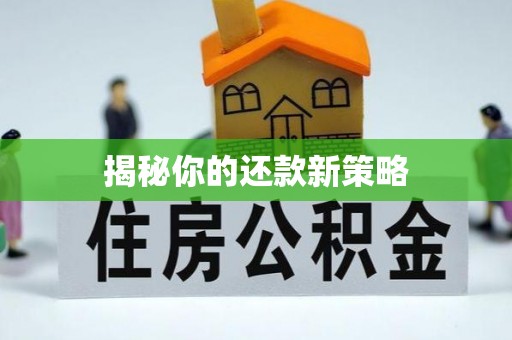 夏河揭秘你的还款新策略