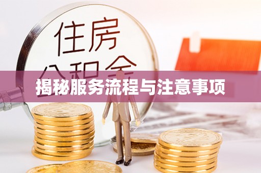 夏河揭秘服务流程与注意事项