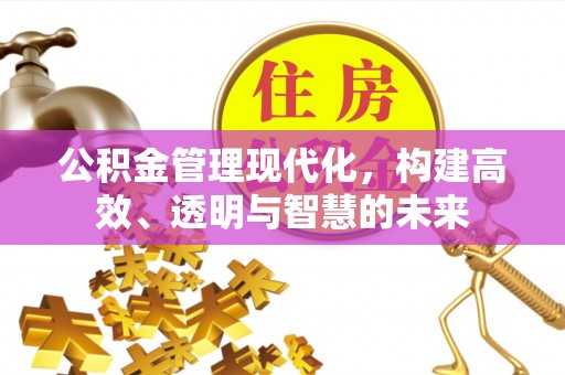夏河公积金管理现代化，构建高效、透明与智慧的未来