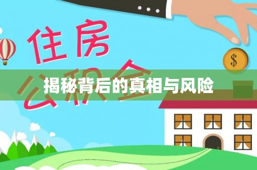 夏河揭秘背后的真相与风险