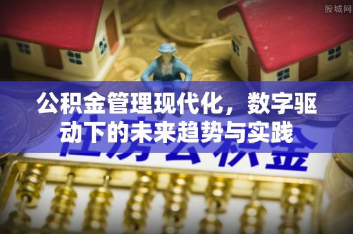 夏河公积金管理现代化，数字驱动下的未来趋势与实践