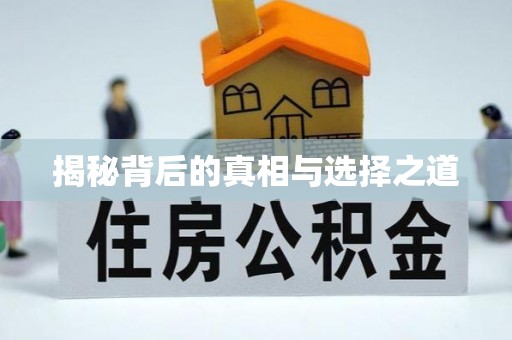 夏河揭秘背后的真相与选择之道