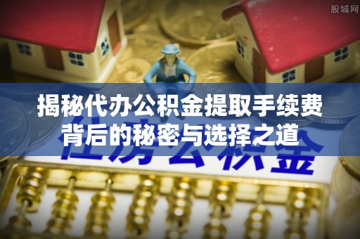 夏河揭秘代办公积金提取手续费背后的秘密与选择之道