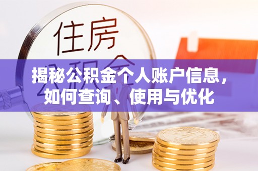 夏河揭秘公积金个人账户信息，如何查询、使用与优化