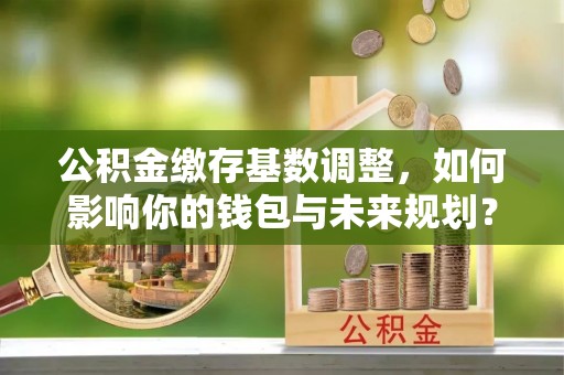 夏河公积金缴存基数调整，如何影响你的钱包与未来规划？