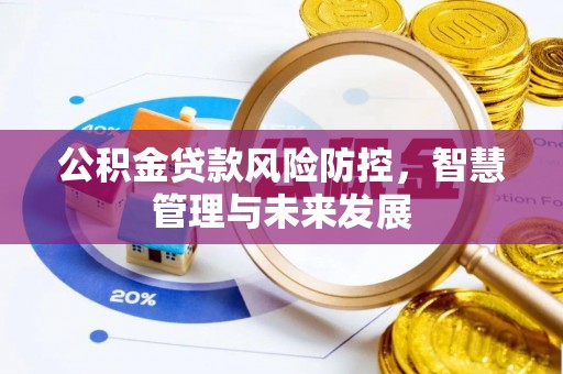 夏河公积金贷款风险防控，智慧管理与未来发展