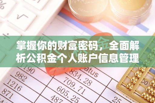夏河掌握你的财富密码，全面解析公积金个人账户信息管理与优化