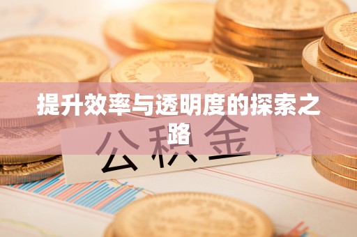 夏河提升效率与透明度的探索之路