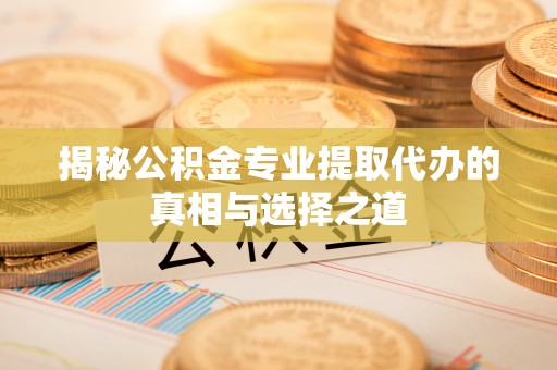 夏河揭秘公积金专业提取代办的真相与选择之道