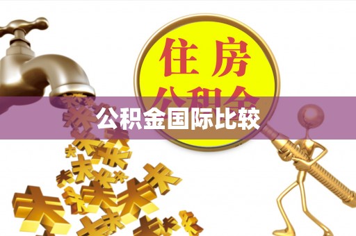 夏河公积金国际比较
