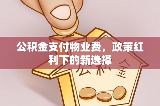 夏河公积金支付物业费，政策红利下的新选择