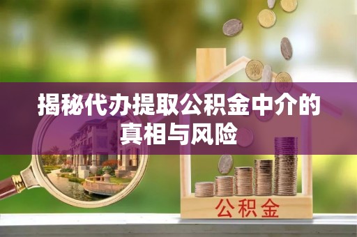 夏河揭秘代办提取公积金中介的真相与风险