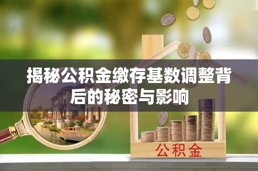 夏河揭秘公积金缴存基数调整背后的秘密与影响
