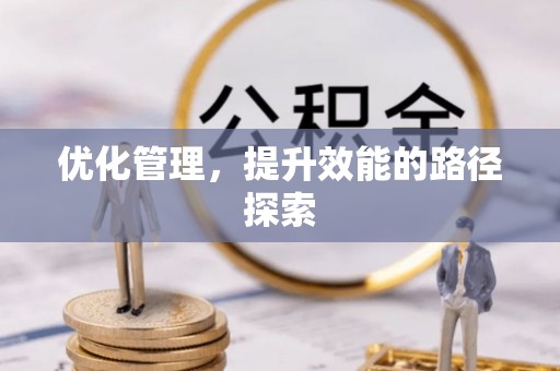 夏河优化管理，提升效能的路径探索