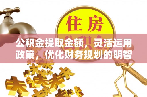 夏河公积金提取金额，灵活运用政策，优化财务规划的明智选择