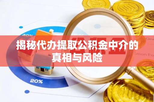 夏河揭秘代办提取公积金中介的真相与风险