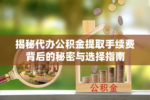 夏河揭秘代办公积金提取手续费背后的秘密与选择指南