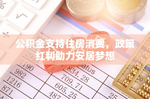 夏河公积金支持住房消费，政策红利助力安居梦想