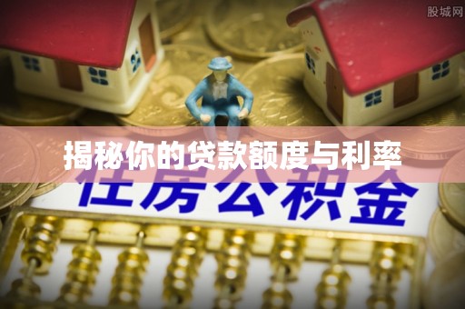夏河揭秘你的贷款额度与利率
