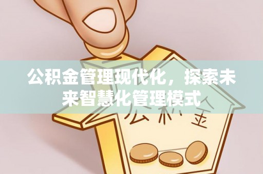 夏河公积金管理现代化，探索未来智慧化管理模式