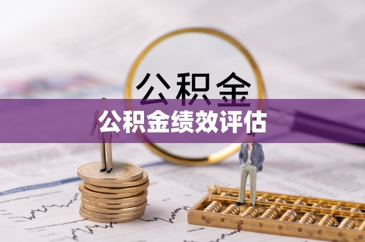 夏河公积金绩效评估