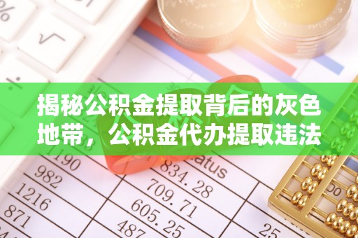 夏河揭秘公积金提取背后的灰色地带，公积金代办提取违法不？