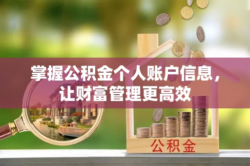 夏河掌握公积金个人账户信息，让财富管理更高效
