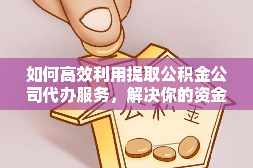 夏河如何高效利用提取公积金公司代办服务，解决你的资金难题