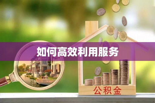 夏河如何高效利用服务