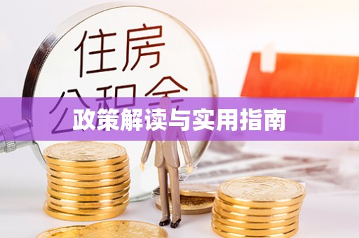 夏河政策解读与实用指南