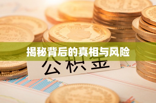 夏河揭秘背后的真相与风险