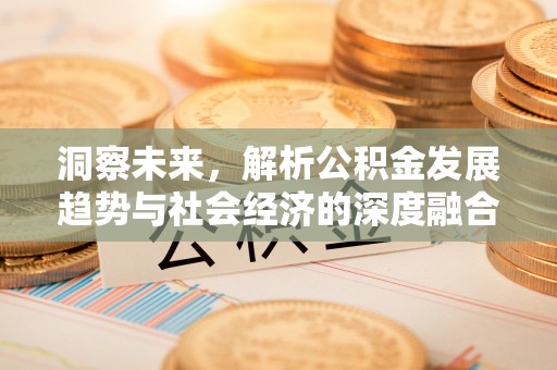 夏河洞察未来，解析公积金发展趋势与社会经济的深度融合