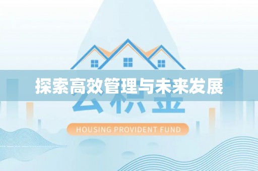 夏河探索高效管理与未来发展