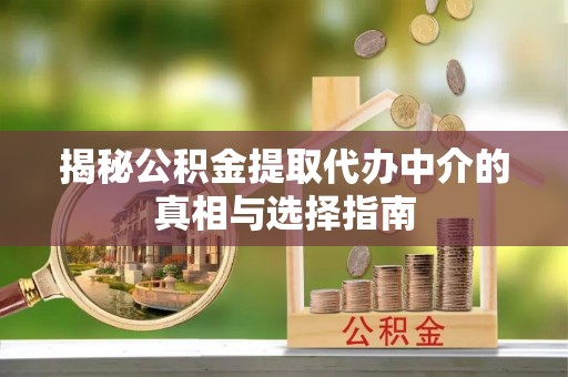 夏河揭秘公积金提取代办中介的真相与选择指南