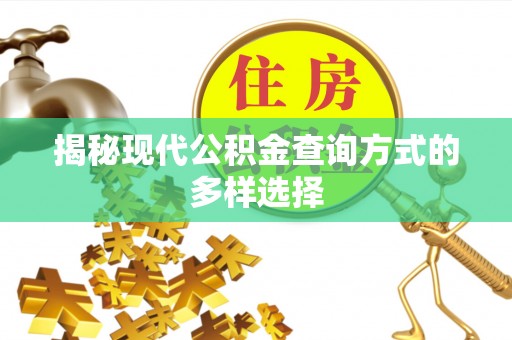 夏河揭秘现代公积金查询方式的多样选择