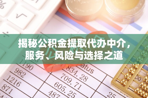 夏河揭秘公积金提取代办中介，服务、风险与选择之道