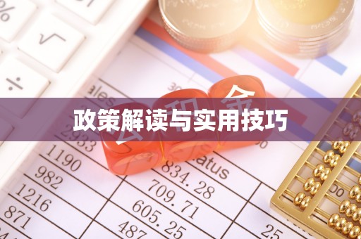 夏河政策解读与实用技巧