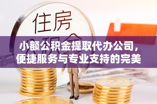 夏河小额公积金提取代办公司，便捷服务与专业支持的完美结合