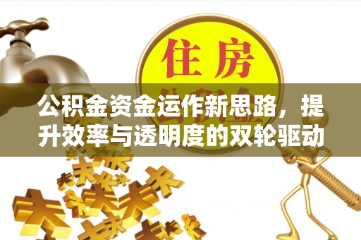 夏河公积金资金运作新思路，提升效率与透明度的双轮驱动