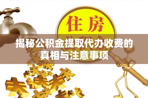 夏河揭秘公积金提取代办收费的真相与注意事项