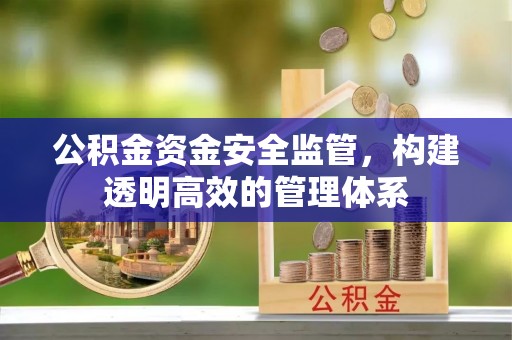 夏河公积金资金安全监管，构建透明高效的管理体系