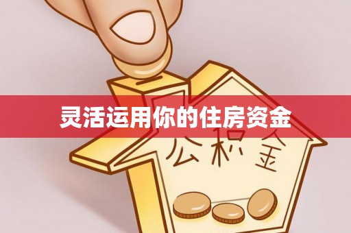 夏河灵活运用你的住房资金