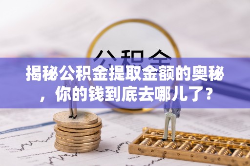 夏河揭秘公积金提取金额的奥秘，你的钱到底去哪儿了？