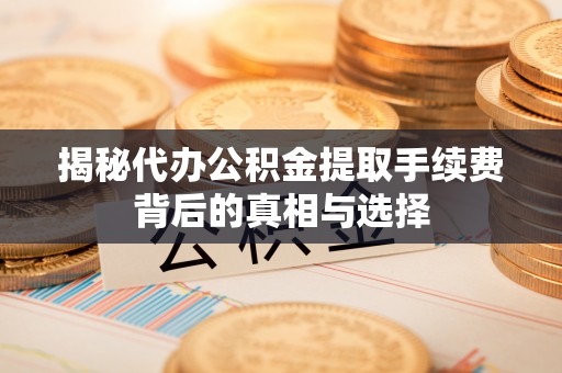 夏河揭秘代办公积金提取手续费背后的真相与选择