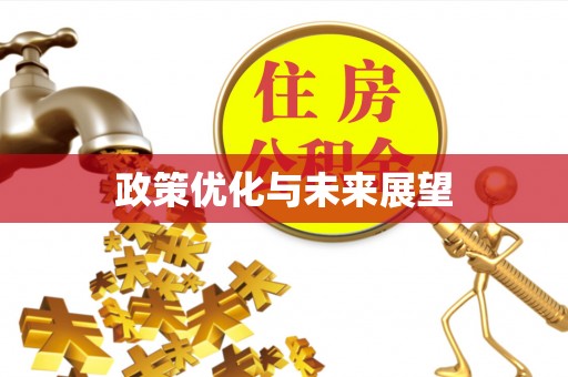 夏河政策优化与未来展望