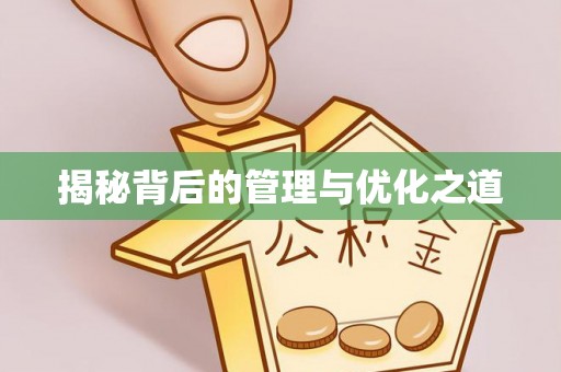 夏河揭秘背后的管理与优化之道